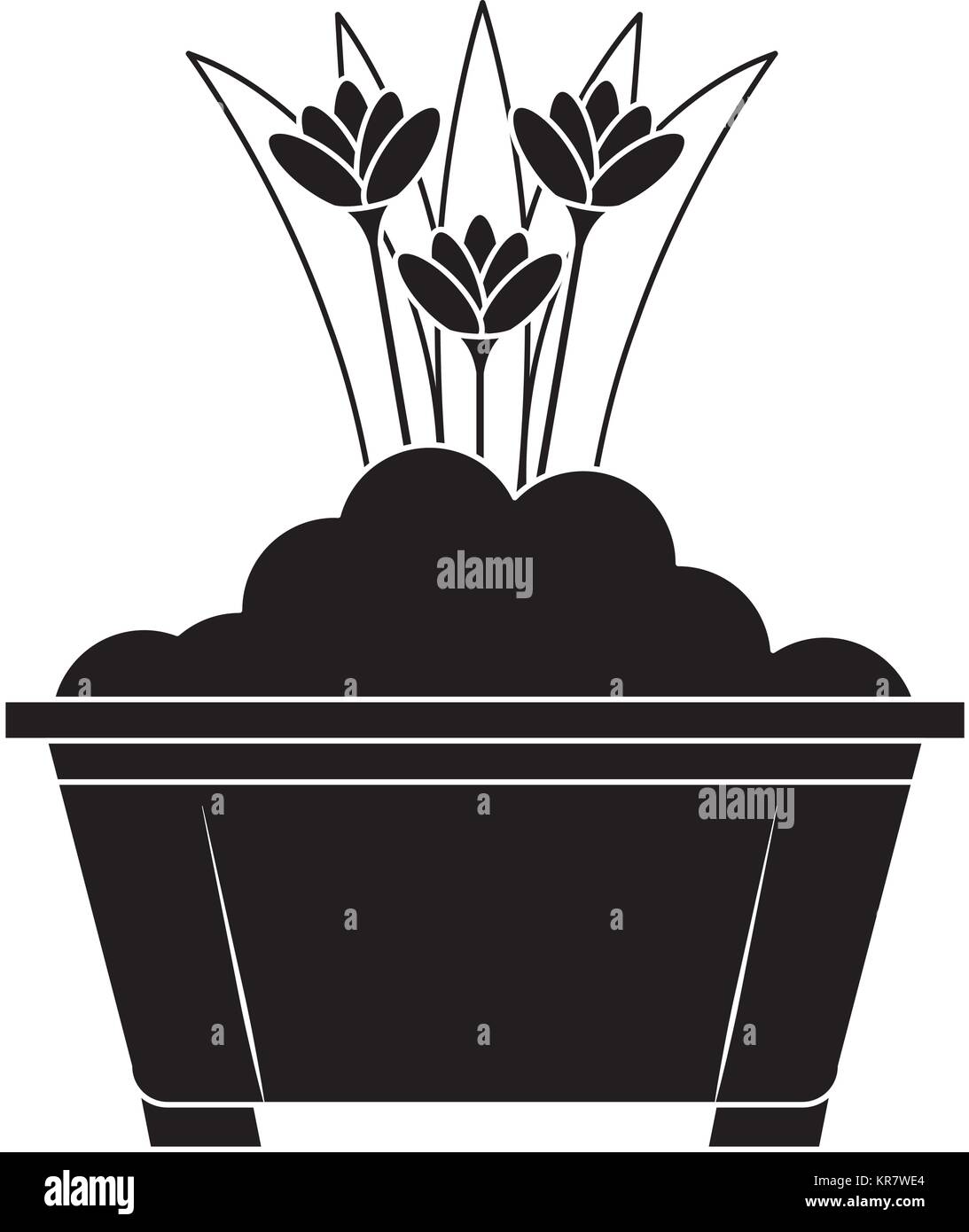 beautiful flowers cultivated in pot Stock Vector Image & Art - Alamy