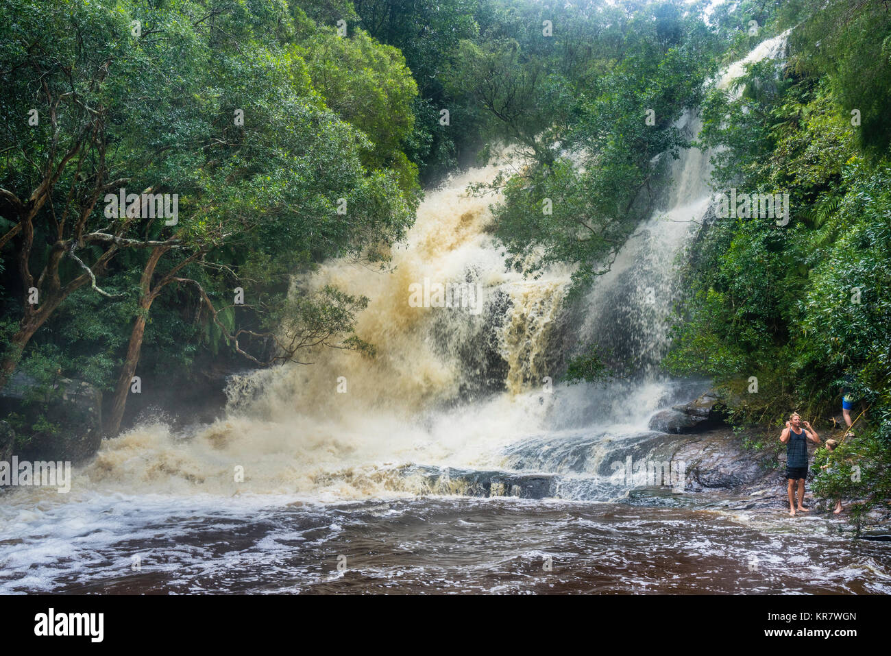 Australia, New South Wales, Central Coast, Brisbane Water National Park, Floods Creek forms a raging torrent after heavy rainfall at Somersby Falls Stock Photo