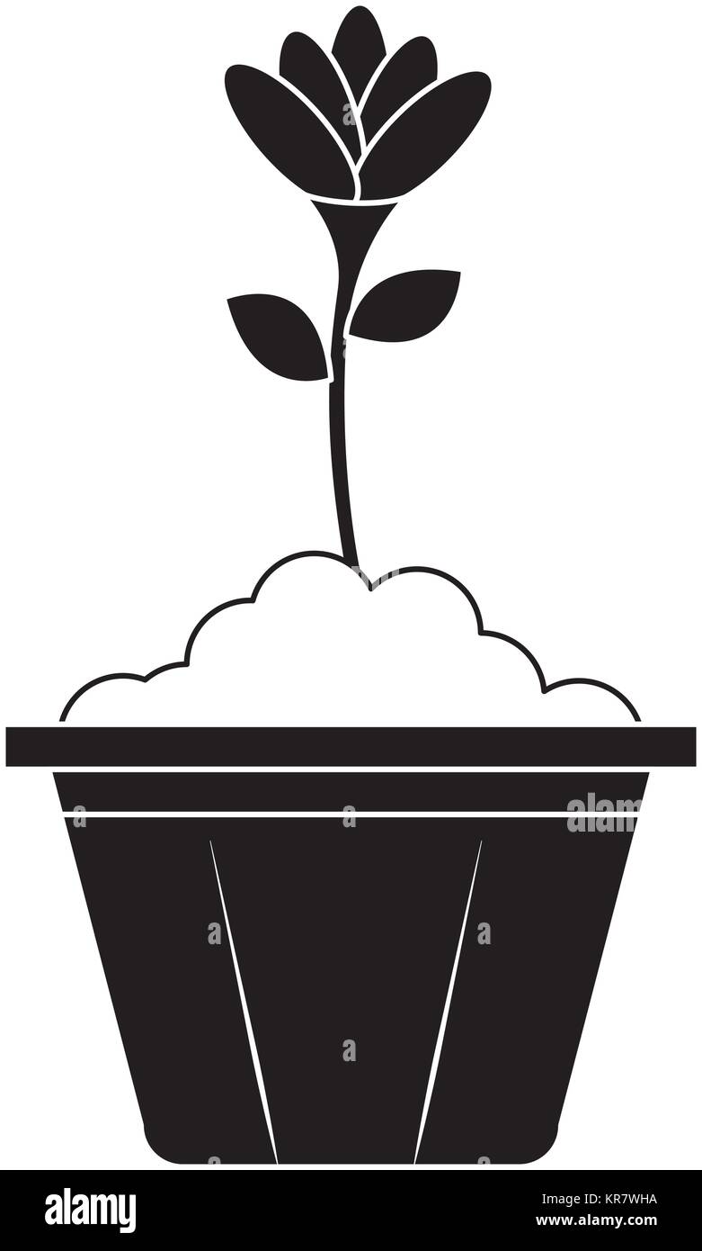 beautiful flower in pot Stock Vector Image & Art - Alamy