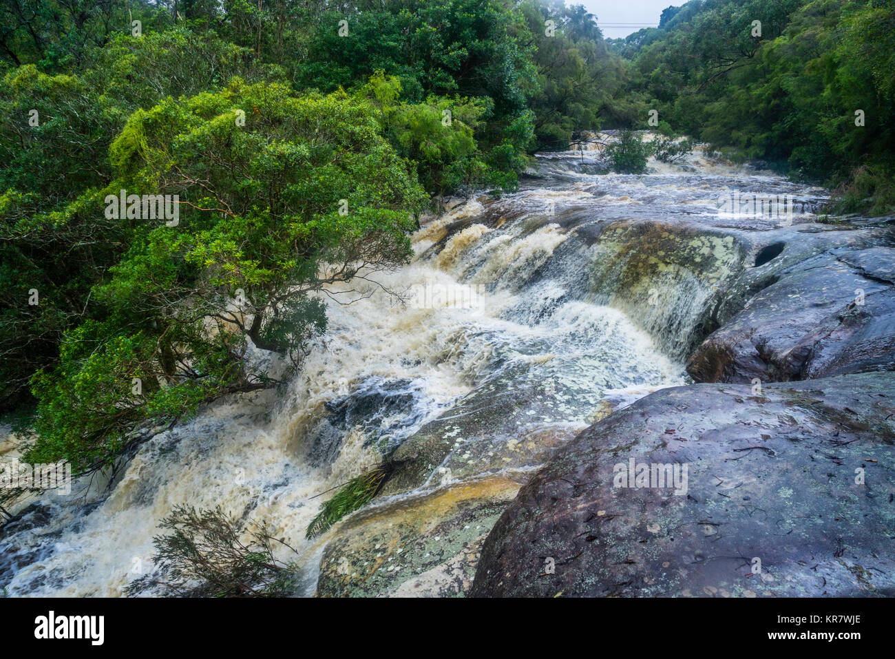 Australia, New South Wales, Central Coast, Brisbane Water National Park, Floods Creek forms a raging torrent after heavy rainfall at Somersby Falls Stock Photo
