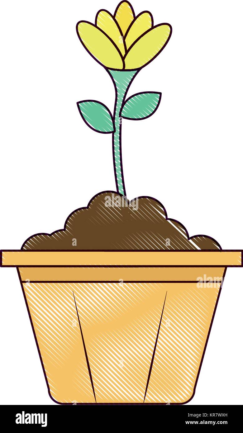 beautiful flower in pot Stock Vector Image & Art - Alamy