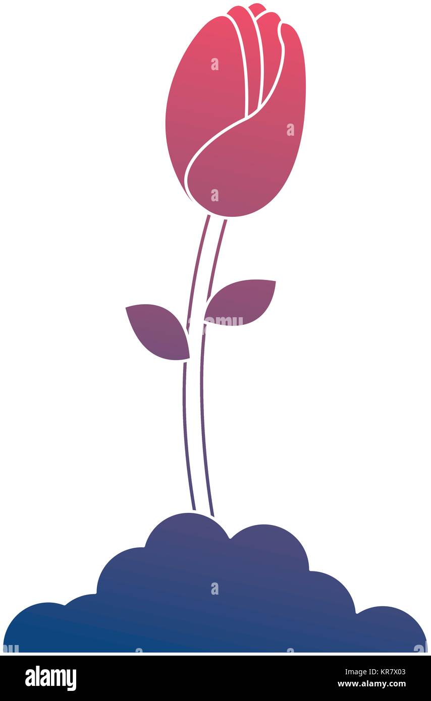 beautiful rose isolated icon Stock Vector Image & Art - Alamy