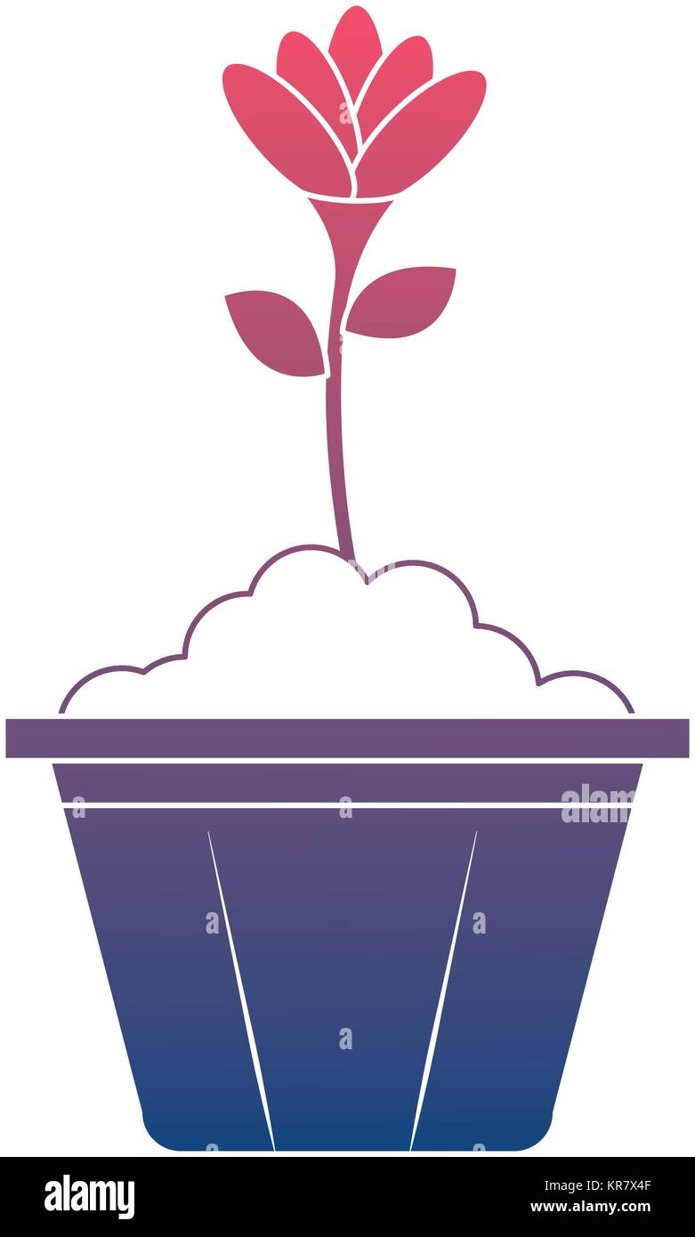 beautiful flower in pot Stock Vector Image & Art - Alamy