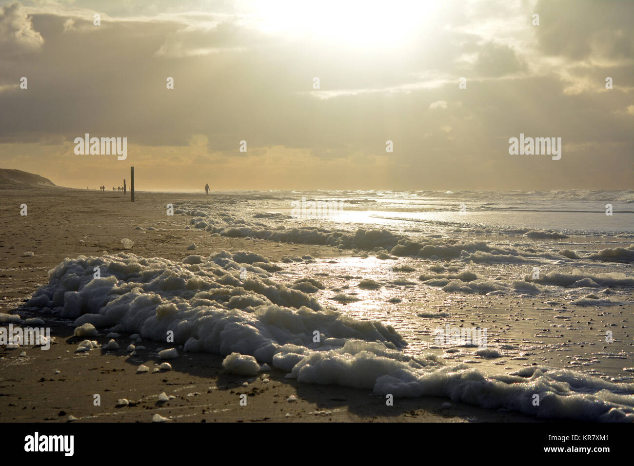 Froth on the beach at sunset on North sea, isle Texel, Netherlands Europe. Stock Photo