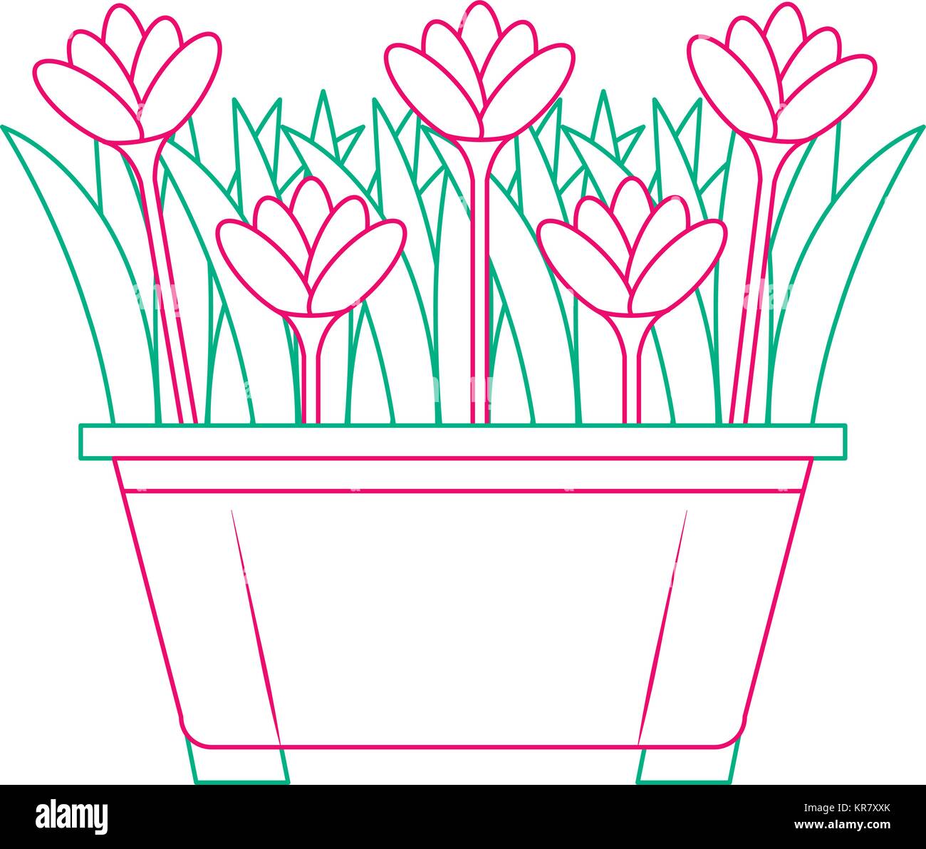 beautiful flowers cultivated in pot Stock Vector Image & Art - Alamy