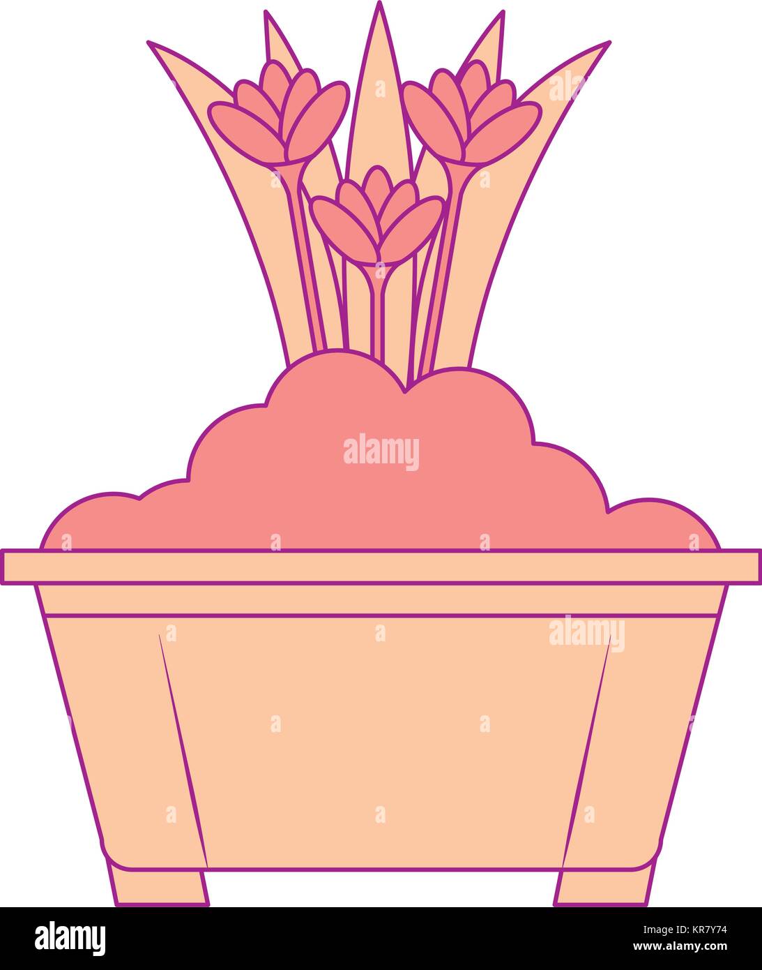 beautiful flowers cultivated in pot Stock Vector Image & Art - Alamy