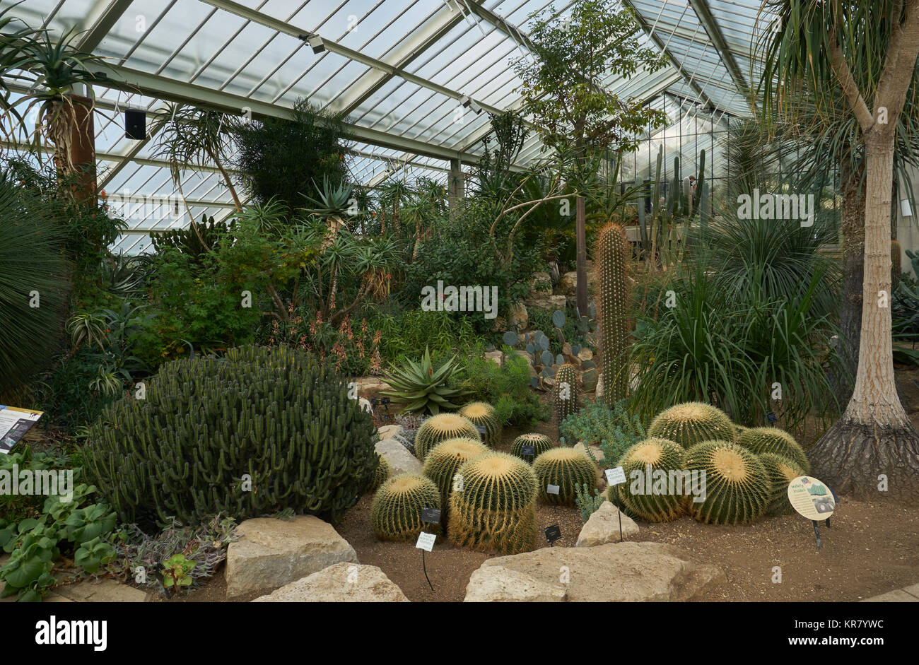 prince of wales conservatory kew gardens Stock Photo Alamy