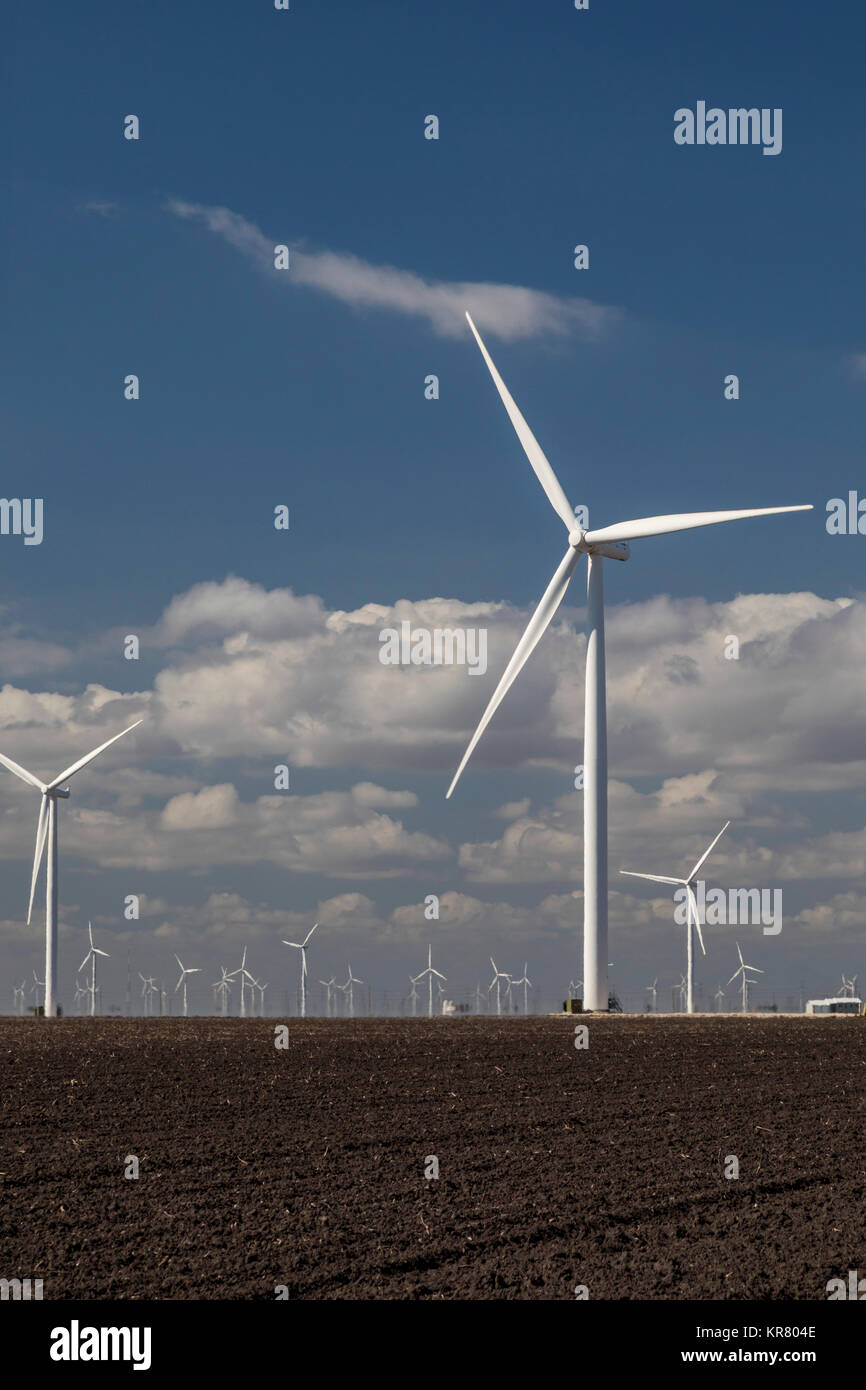 Taft, Texas - Wind turbines near the Gulf of Mexico. They are part of the Papalote Creek Wind Farm, which has 196 turbines producing 380 MW. Stock Photo