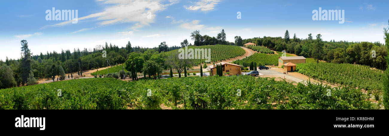 View of vineyards in the Sierra Nevada's foothills of Northern California Stock Photo