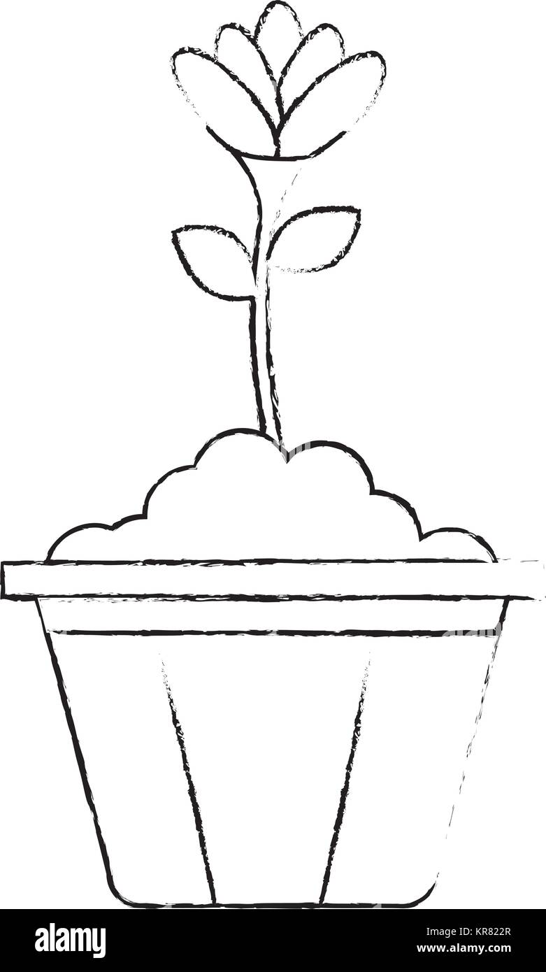 beautiful flower in pot Stock Vector Image & Art - Alamy