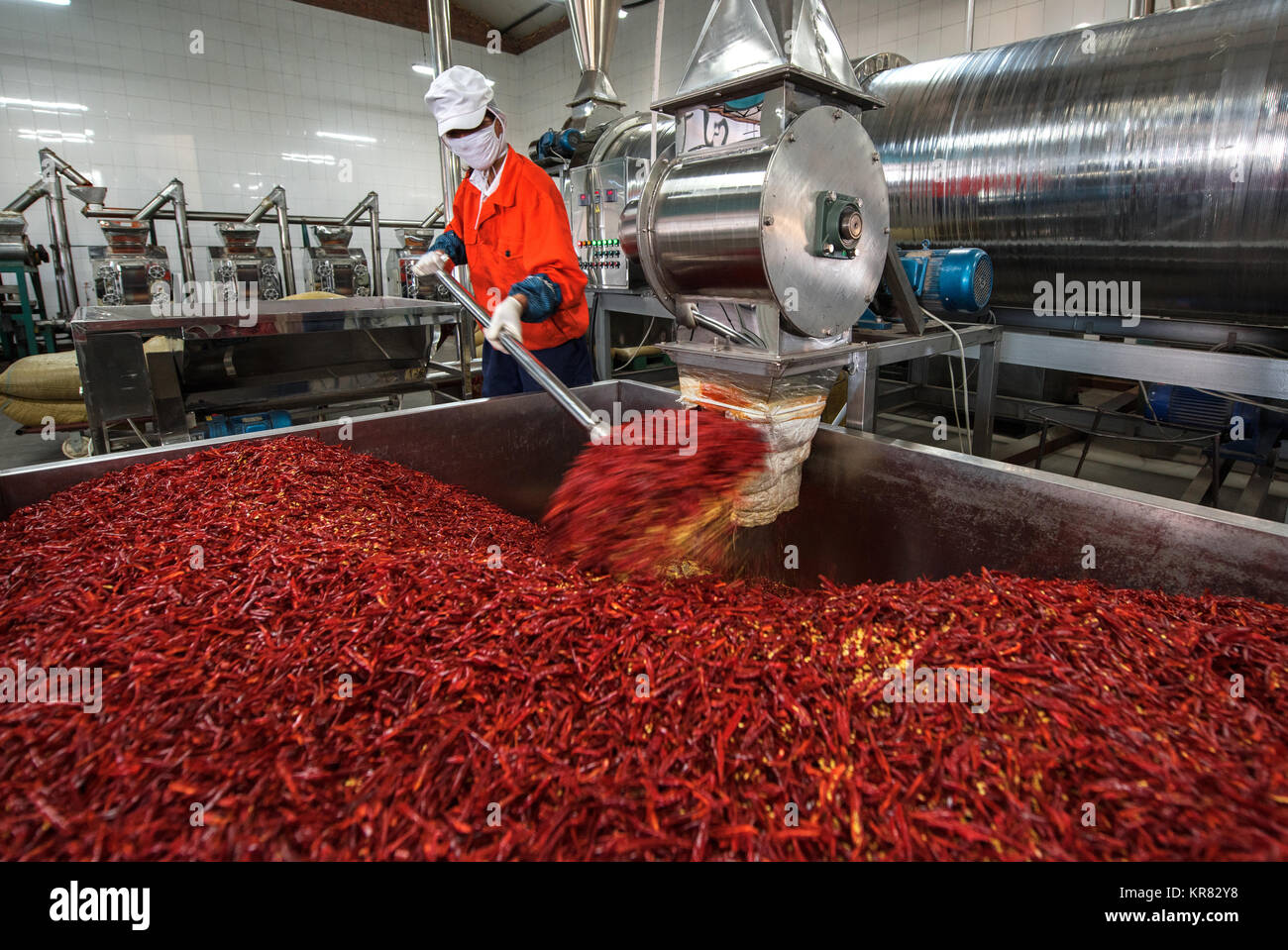 Chili processing plant Stock Photo Alamy