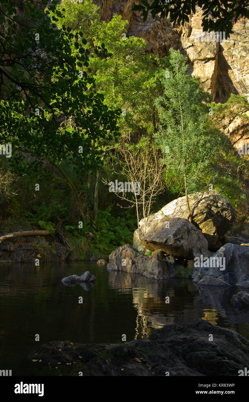 Small trees growing between boulders in the middle of Alge river at Fragas de Sao Simao. Larger trees and cliffs on background. Figueiro dos Vinhos, P Stock Photo
