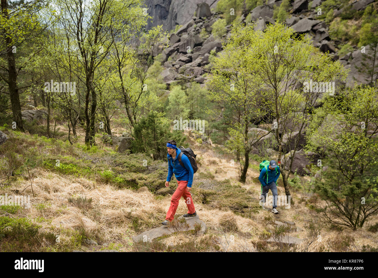 Rock climbers walk through a wood to a climbing route Stock Photo