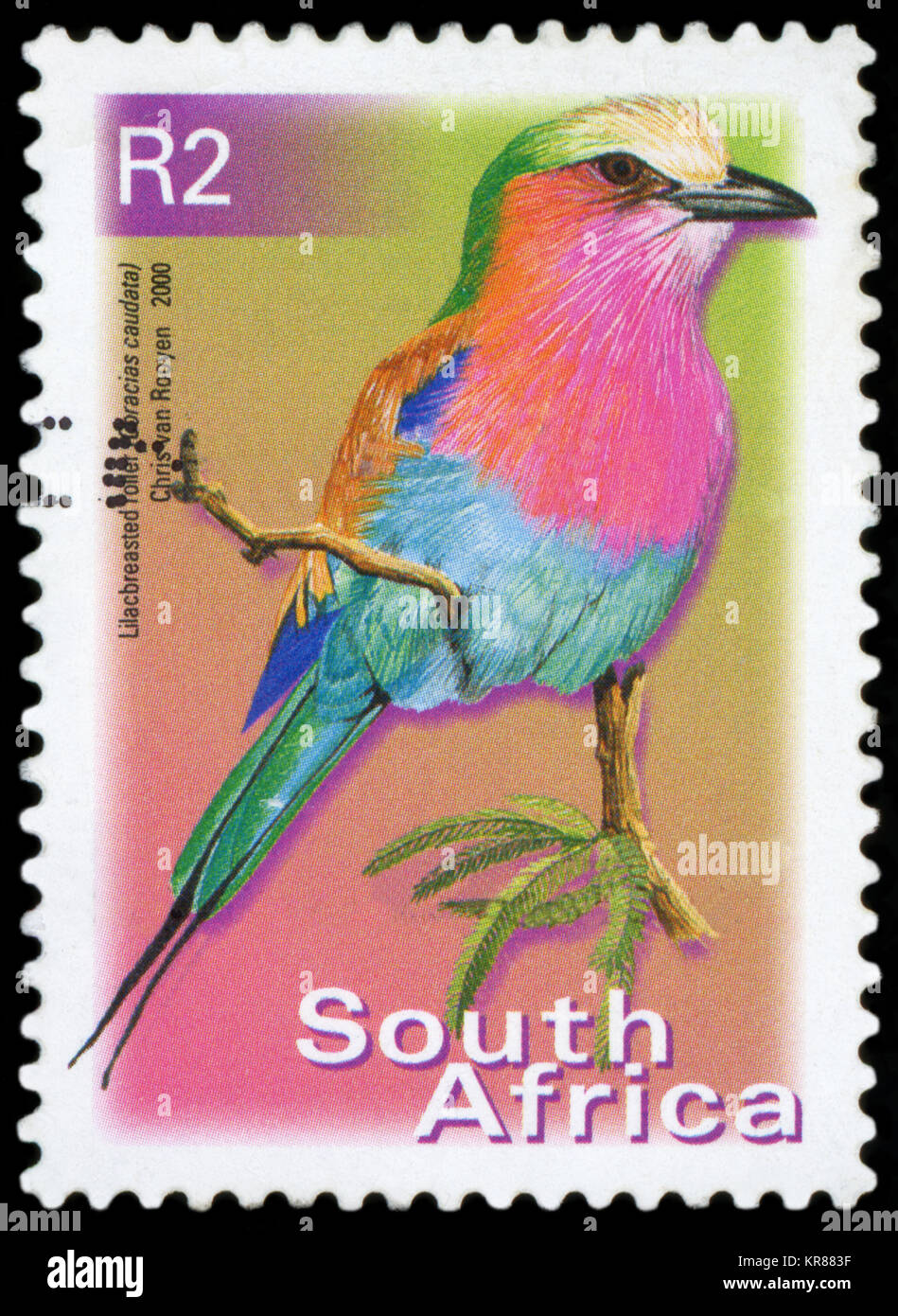 SOUTH AFRICA - CIRCA 2000: A stamp printed in South Africa, shows a bird Lilac-brested Roller (Coracias caudata), circa 2000 Stock Photo