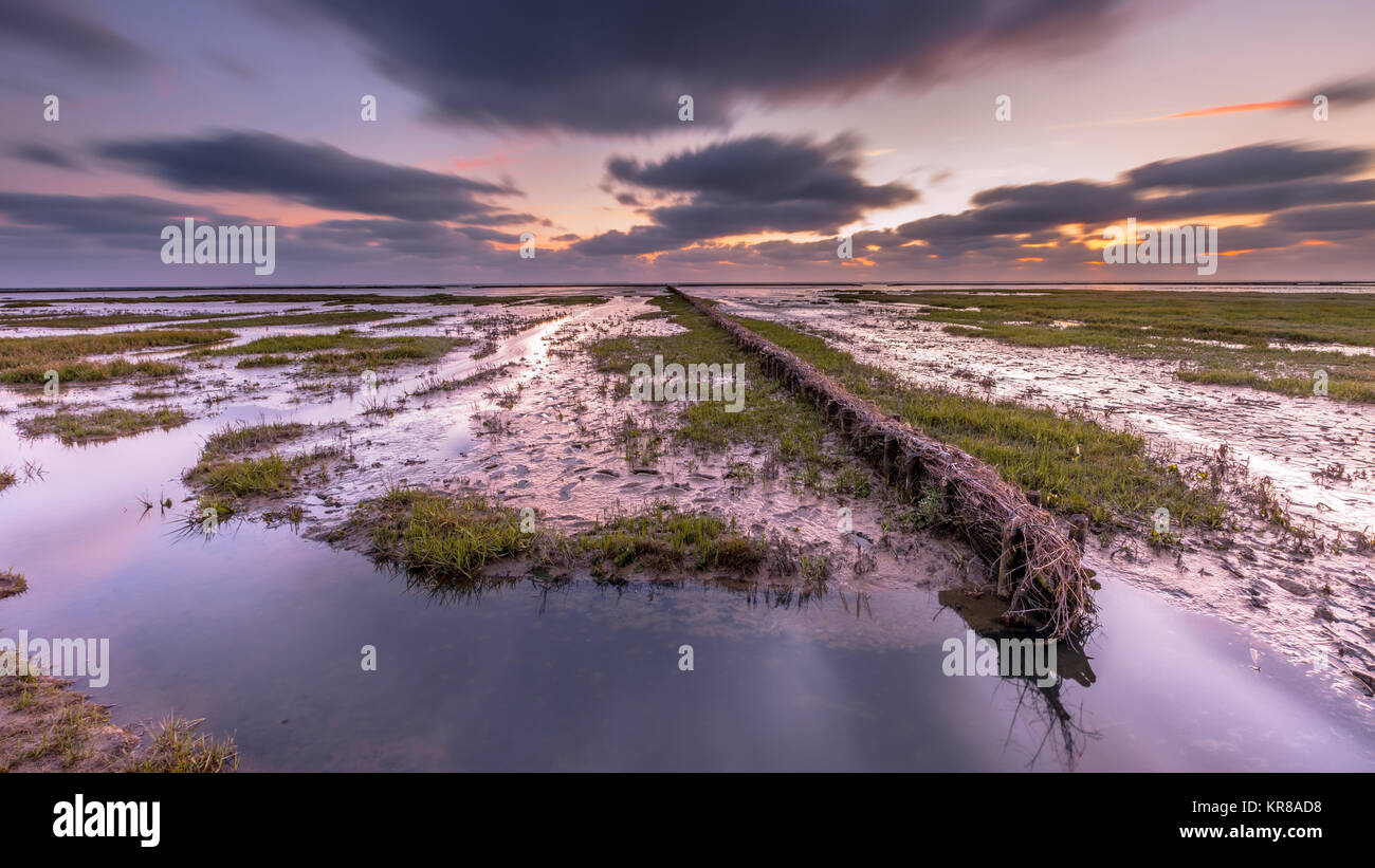 Wadden sea mud-plains of  tidal marsh where new land is being created on the Groningen coast in the Netherlands Stock Photo