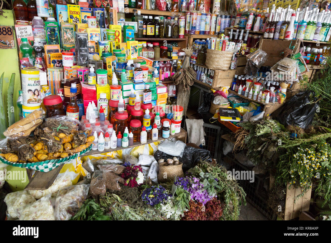Medicinal plants and extracts for natural healing medications on sale, Cuenca market, Cuenca, Ecuador South America Stock Photo