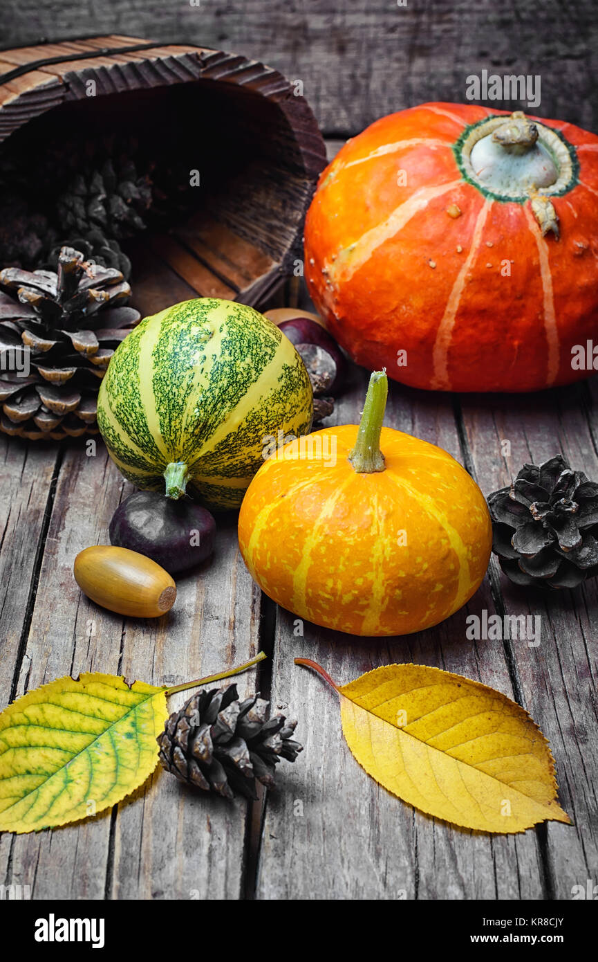 three decorative pumpkins Stock Photo - Alamy