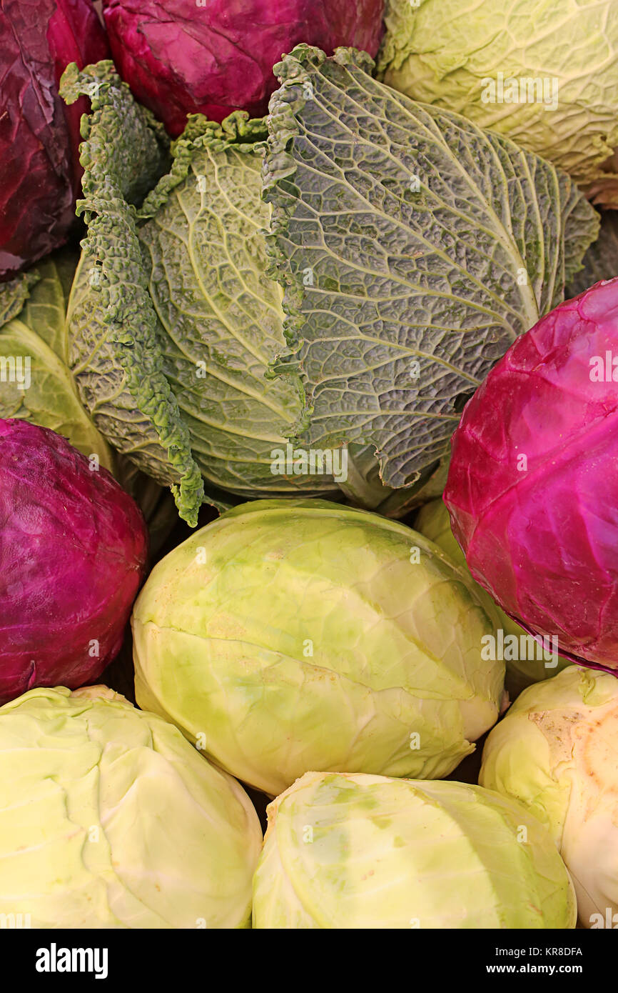white cabbage red cabbage Stock Photo Alamy