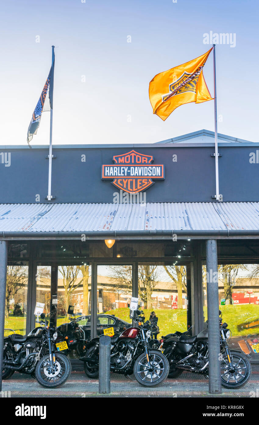 Harley Davidson  shop front in Southampton with three Harley Davidson motorcycles on display, England, UK Stock Photo