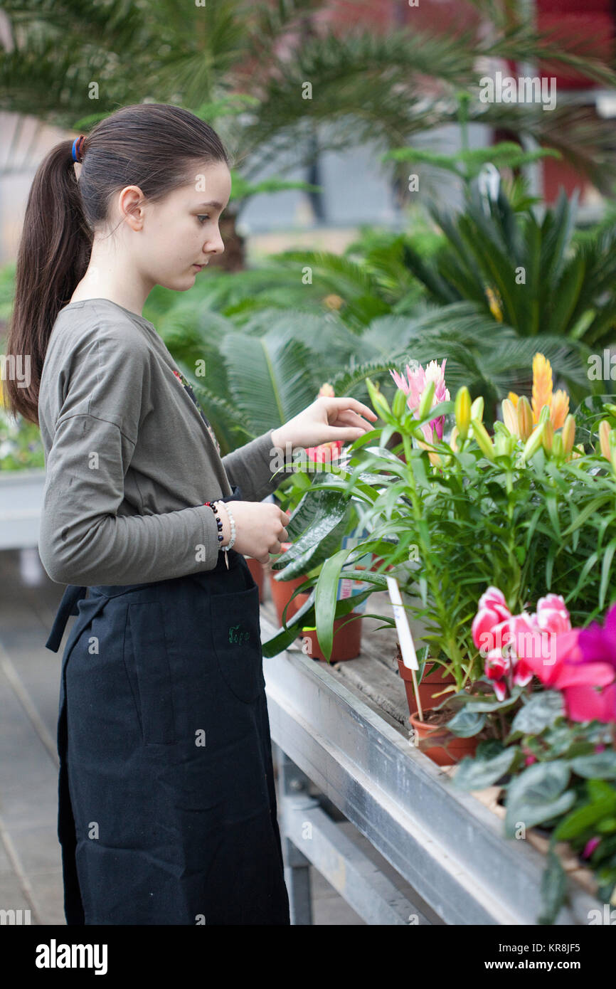 Young people working garden centre hi-res stock photography and images ...