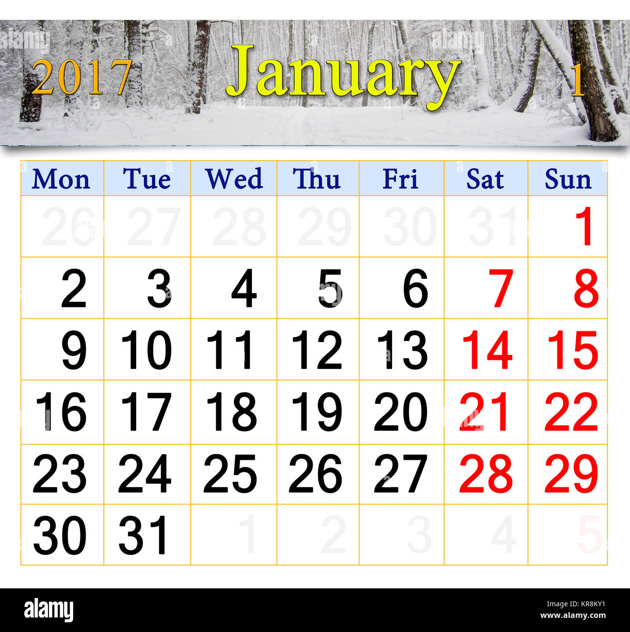 calendar for January 2017 with birch grove Stock Photo