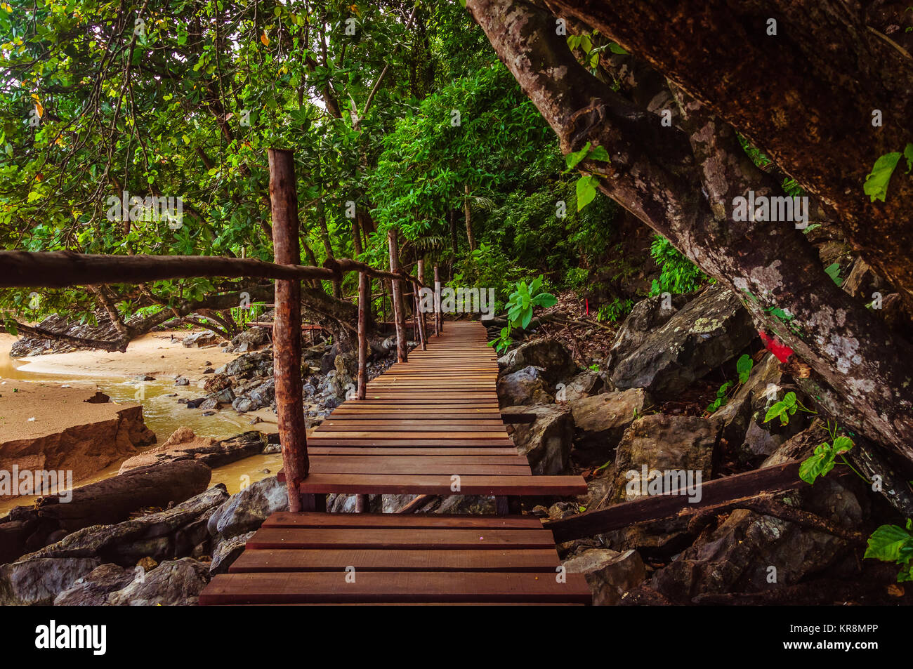 Tropical mountain path hi-res stock photography and images - Alamy