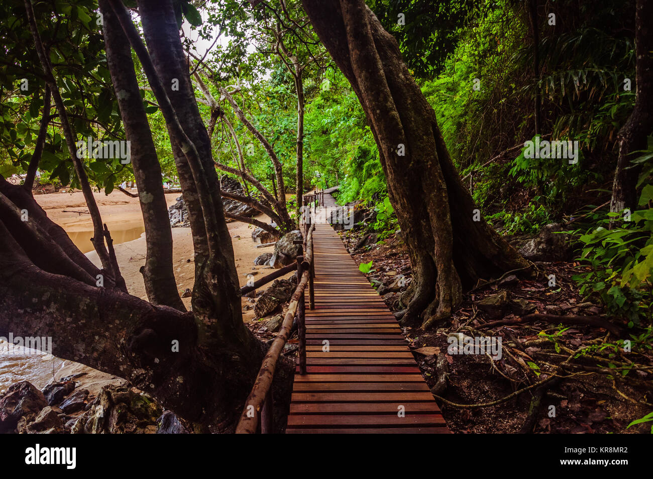 Narrow path in natural hi-res stock photography and images - Alamy
