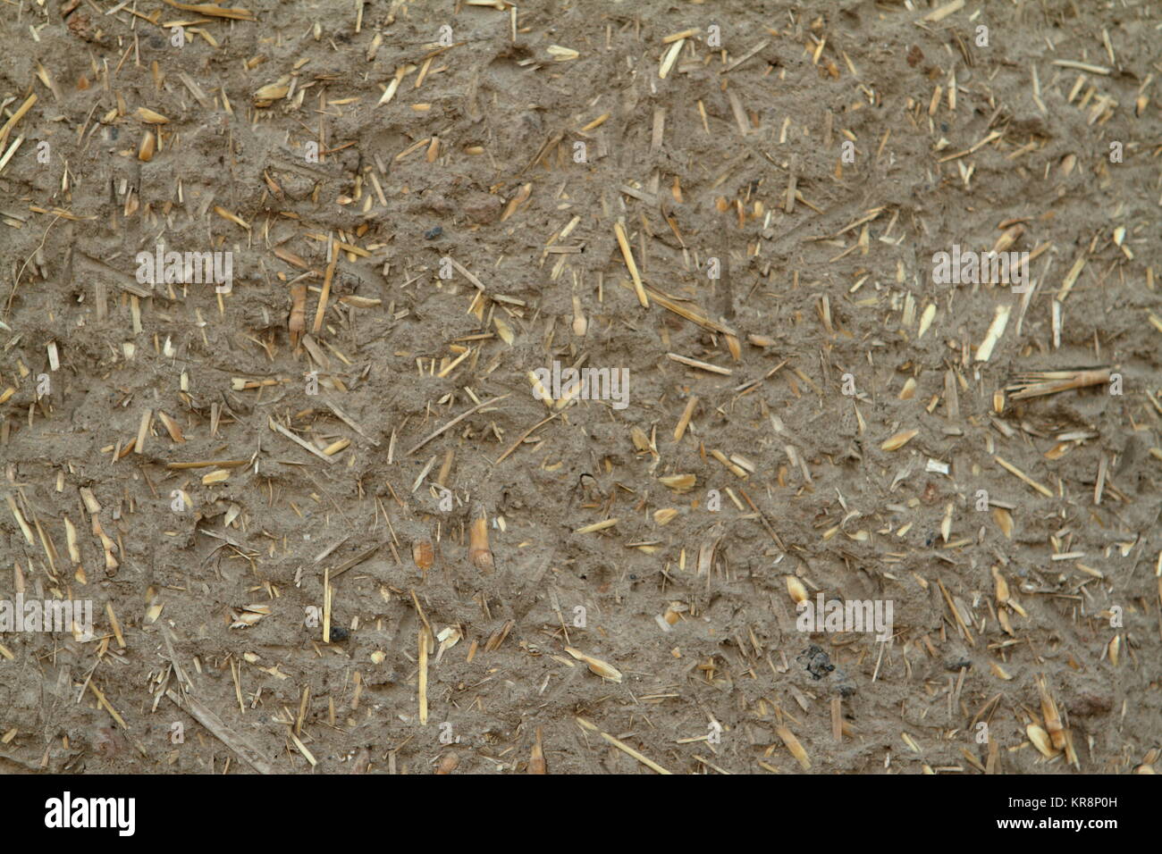 traditional mud wall with straw Stock Photo Alamy