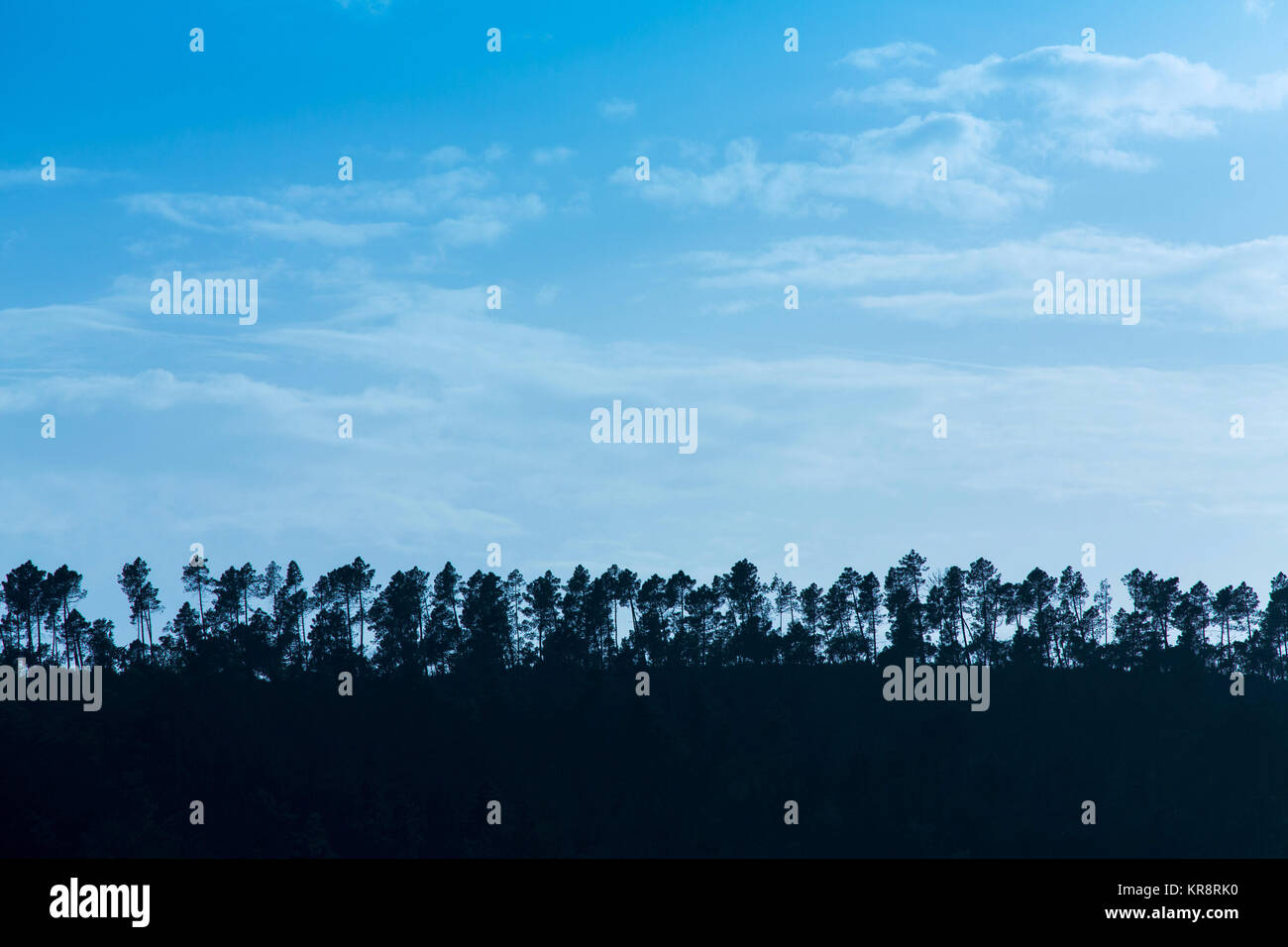 Line of trees silhouette hi-res stock photography and images - Alamy