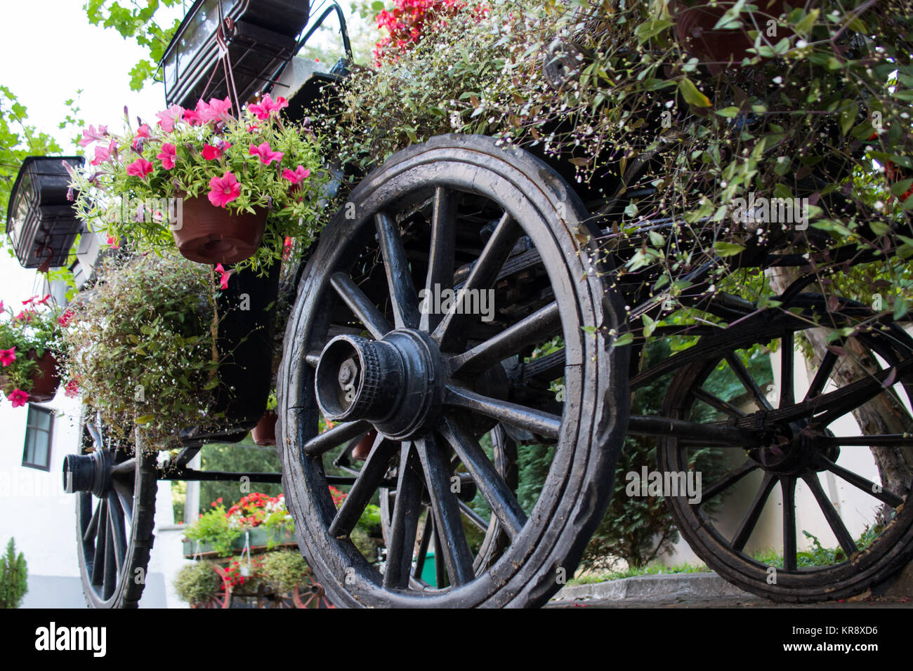 Old rustic wooden rural carriage with summer flowers in it Stock Photo