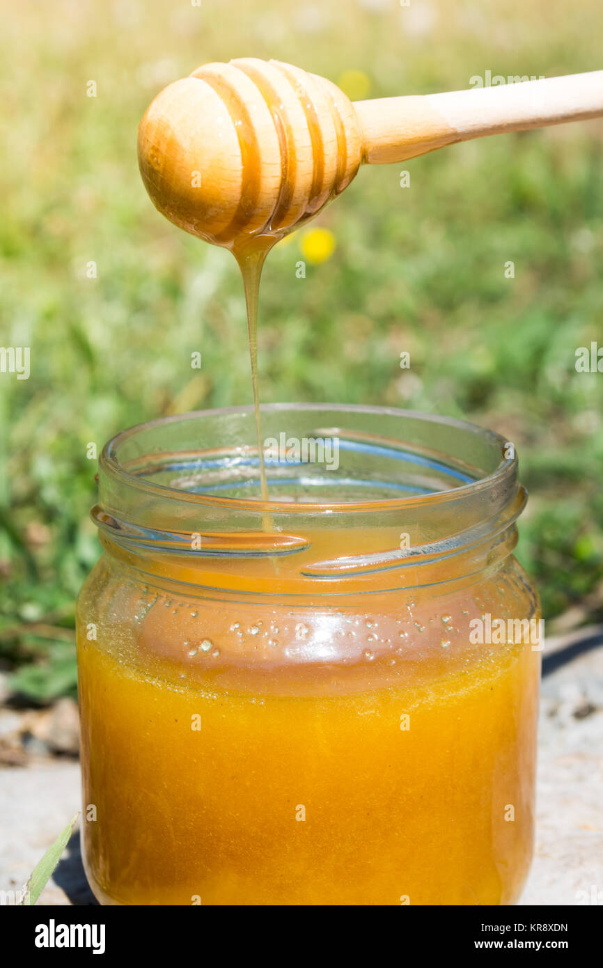 Jar full of honey Stock Photo Alamy