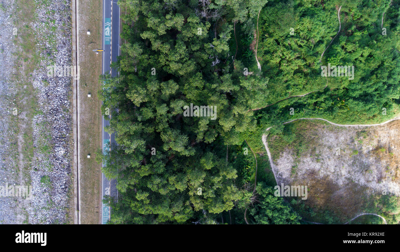 Aerial view of mountains and forest above, with road Stock Photo - Alamy
