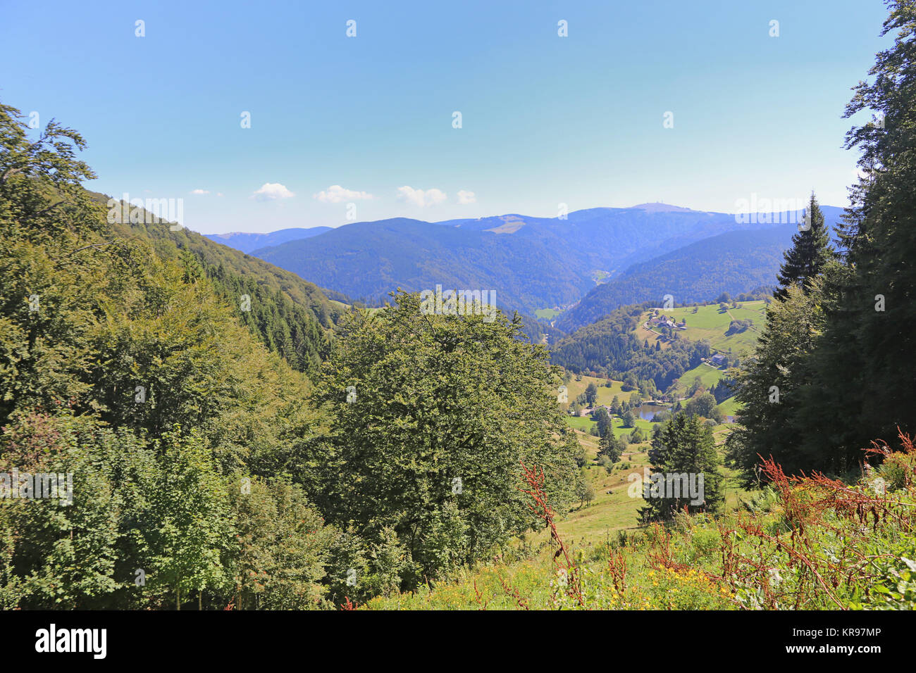 black forest summit - view from schauinsland feldberg Stock Photo