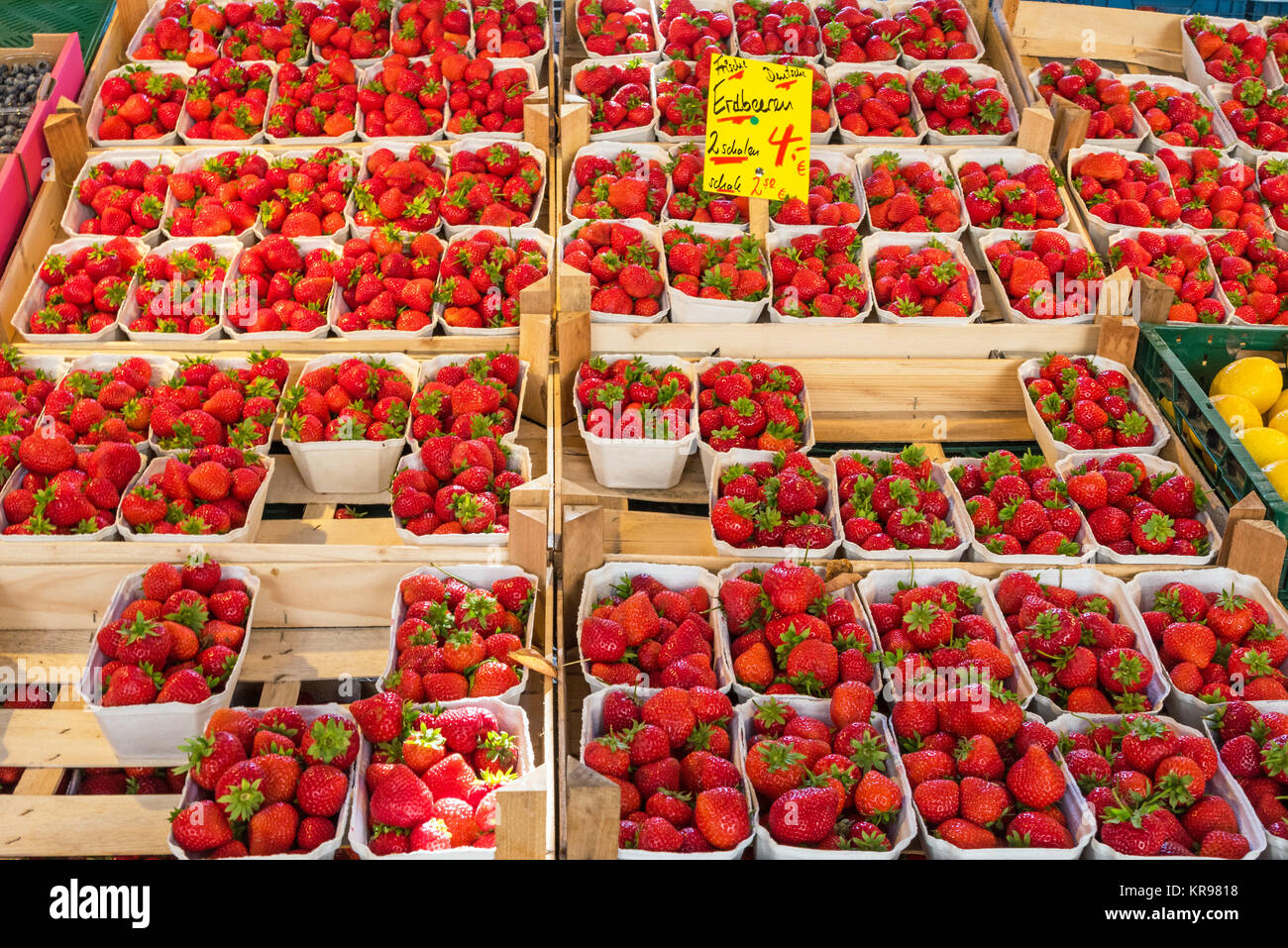 many fresh strawberries for sale at a market Stock Photo Alamy