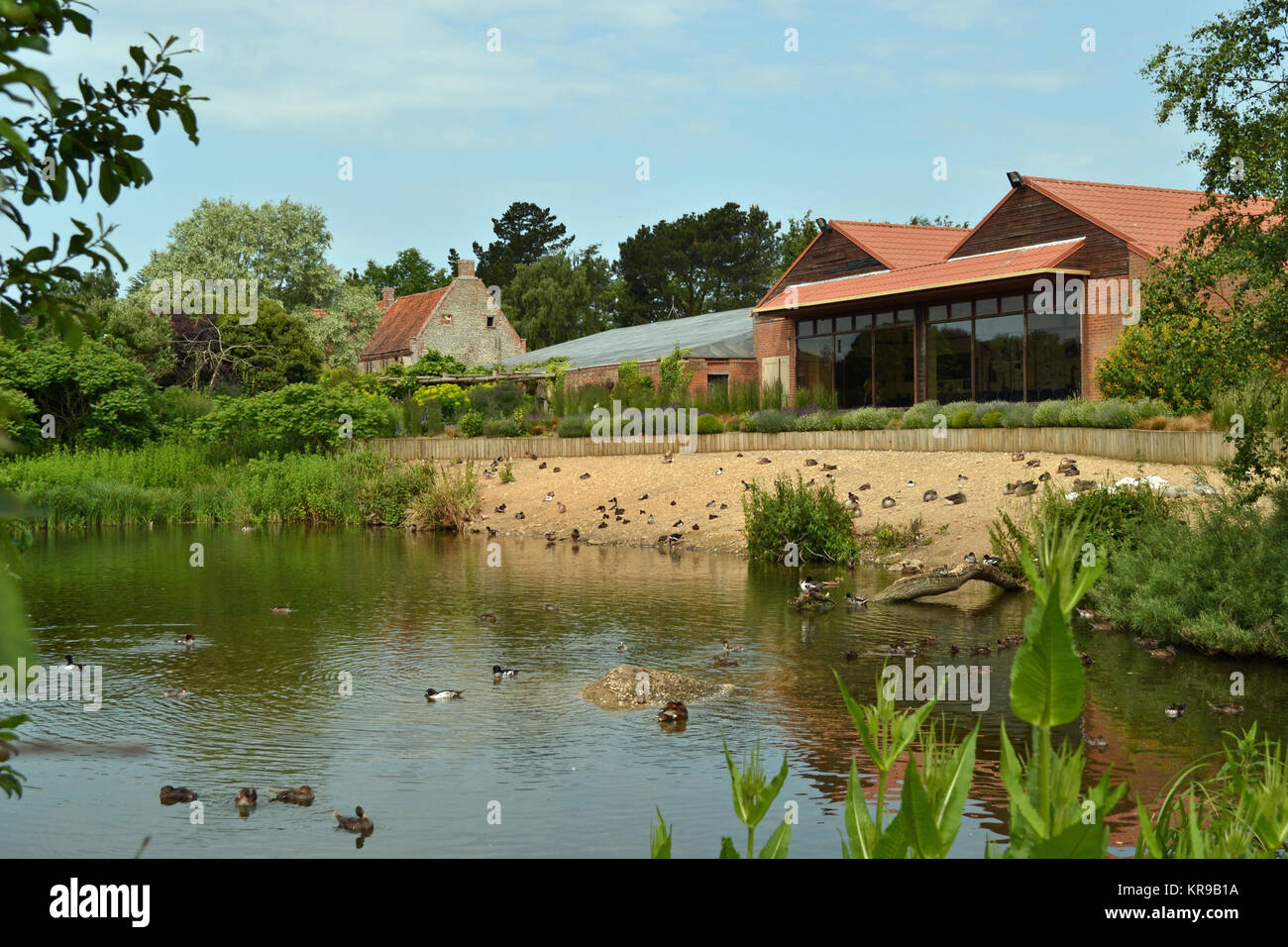 Norfolk uk pensthorpe hires stock photography and images Alamy