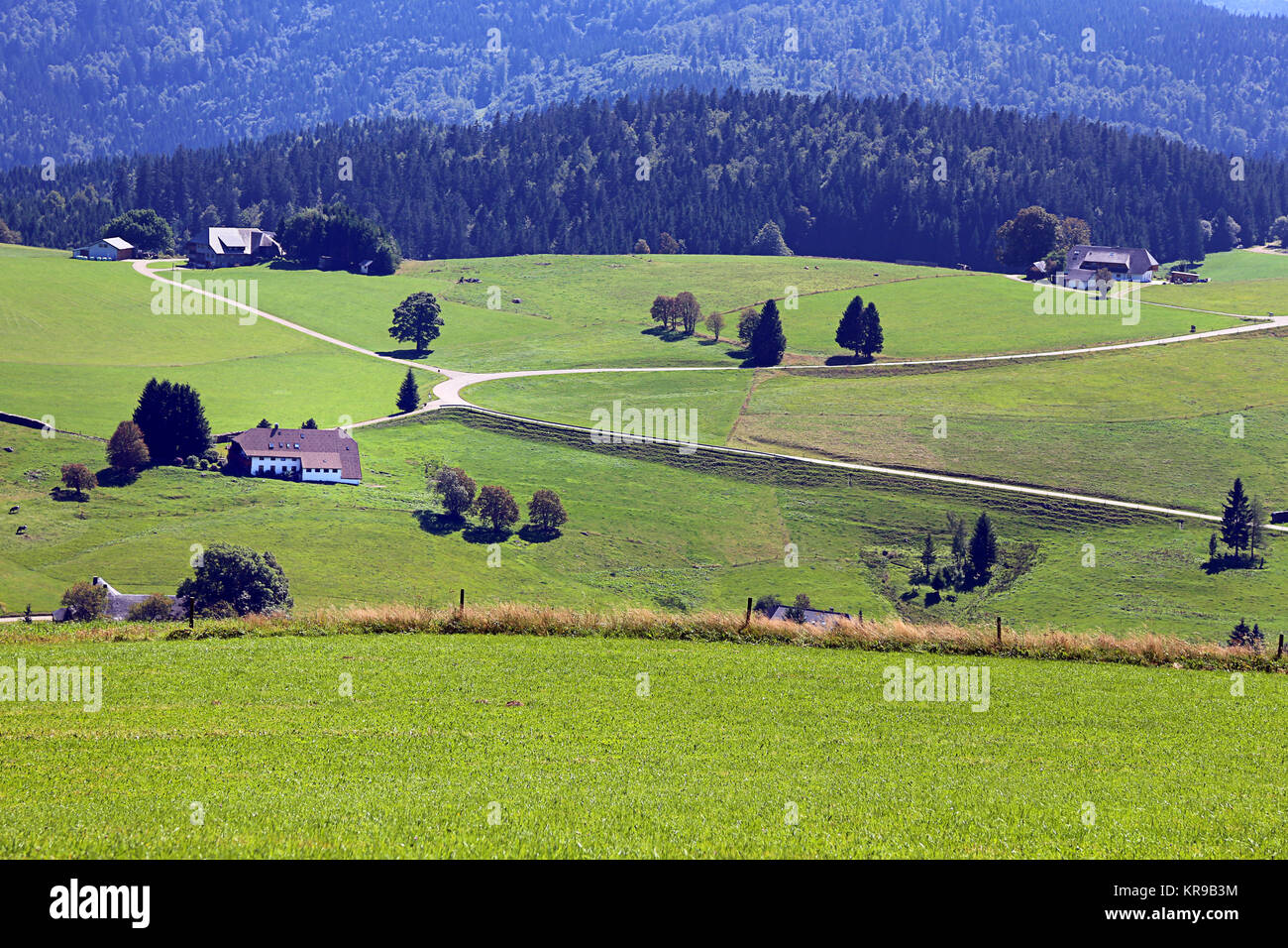 landscape on the schauinsland near freiburg Stock Photo