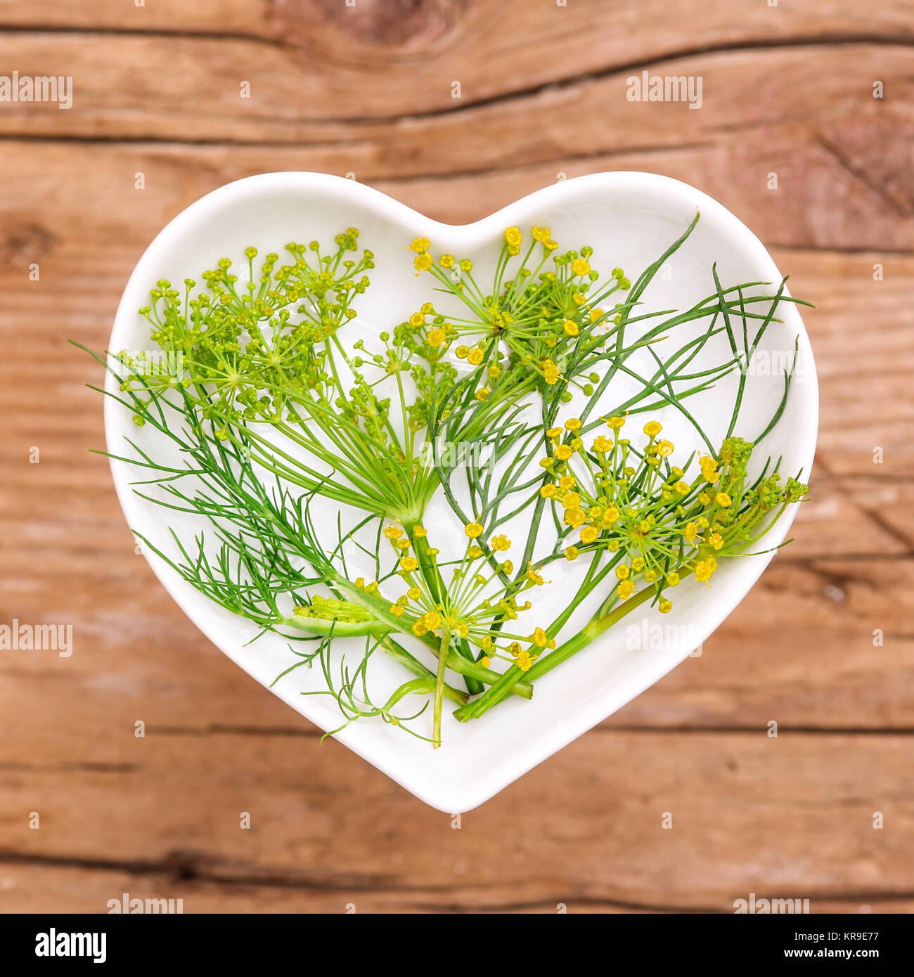 homeopathy and cooking with herbs,dill Stock Photo