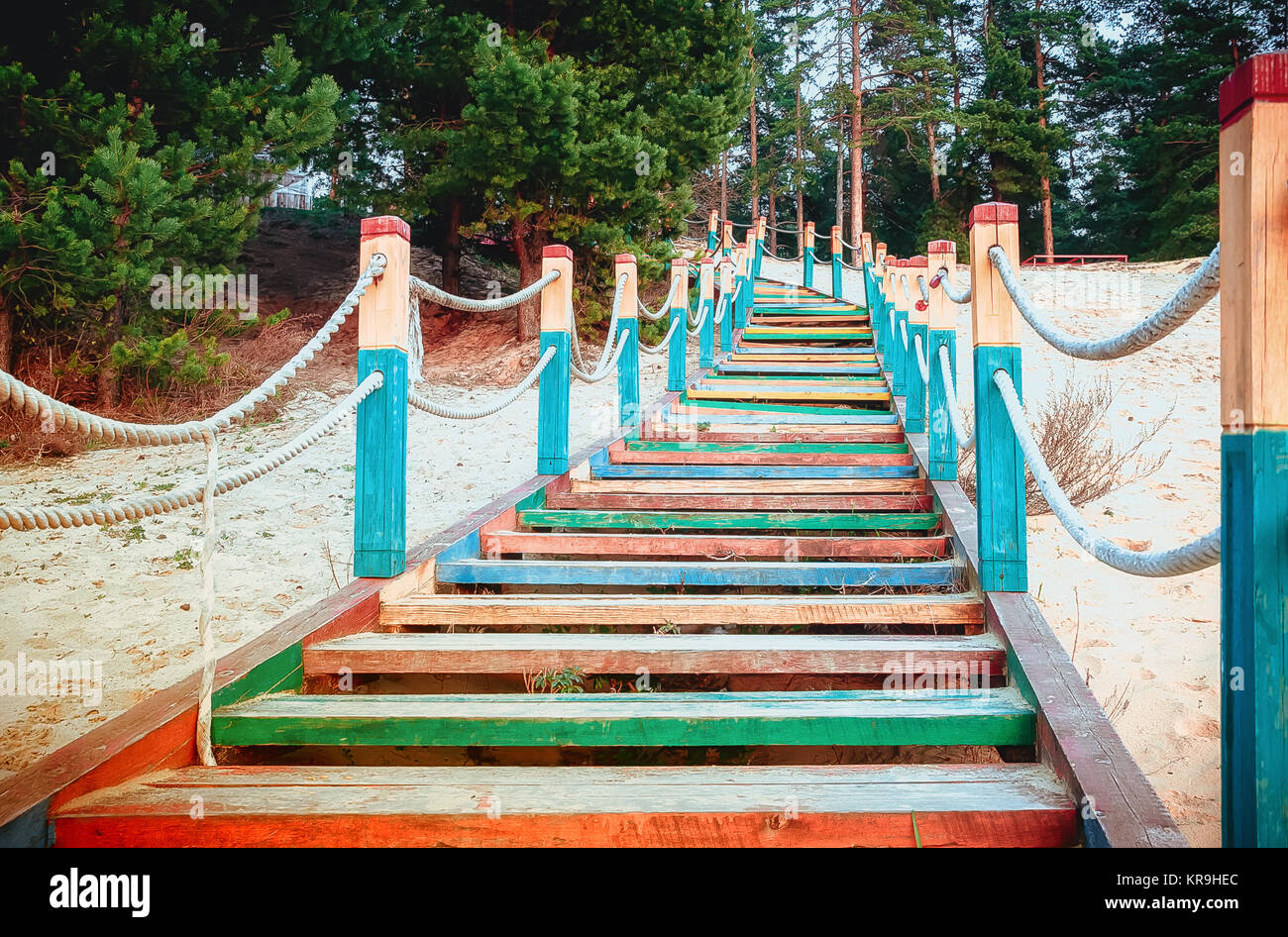 Color Wooden Staircase On The Beach Among The Pines Stock Photo