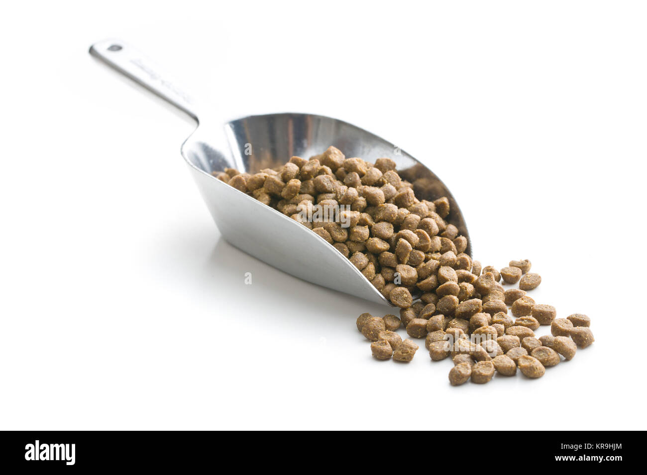 Dried food for dogs or cats Stock Photo Alamy