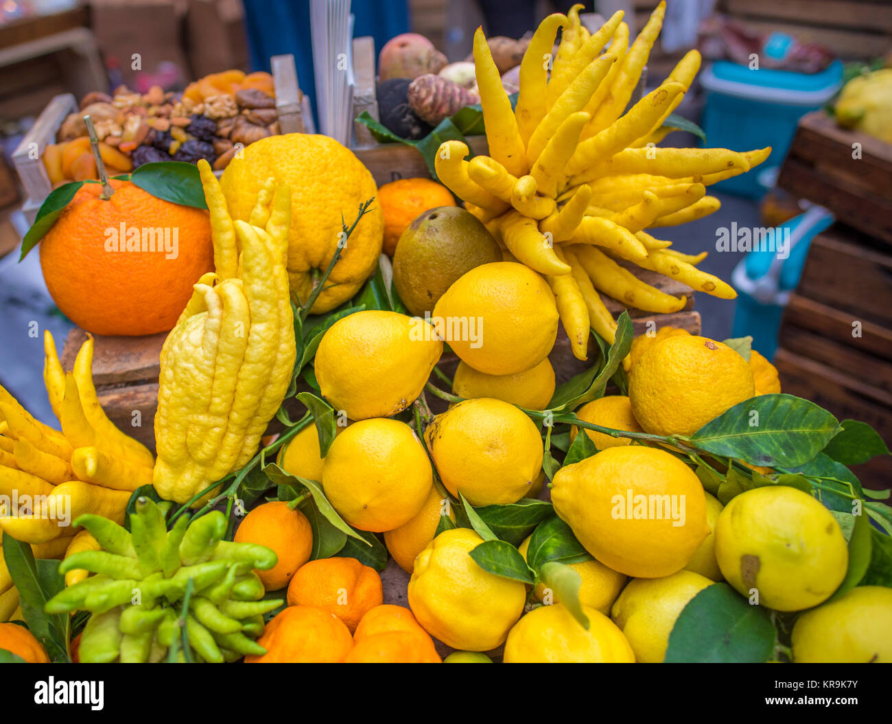 Mix of citrus fruits Stock Photo