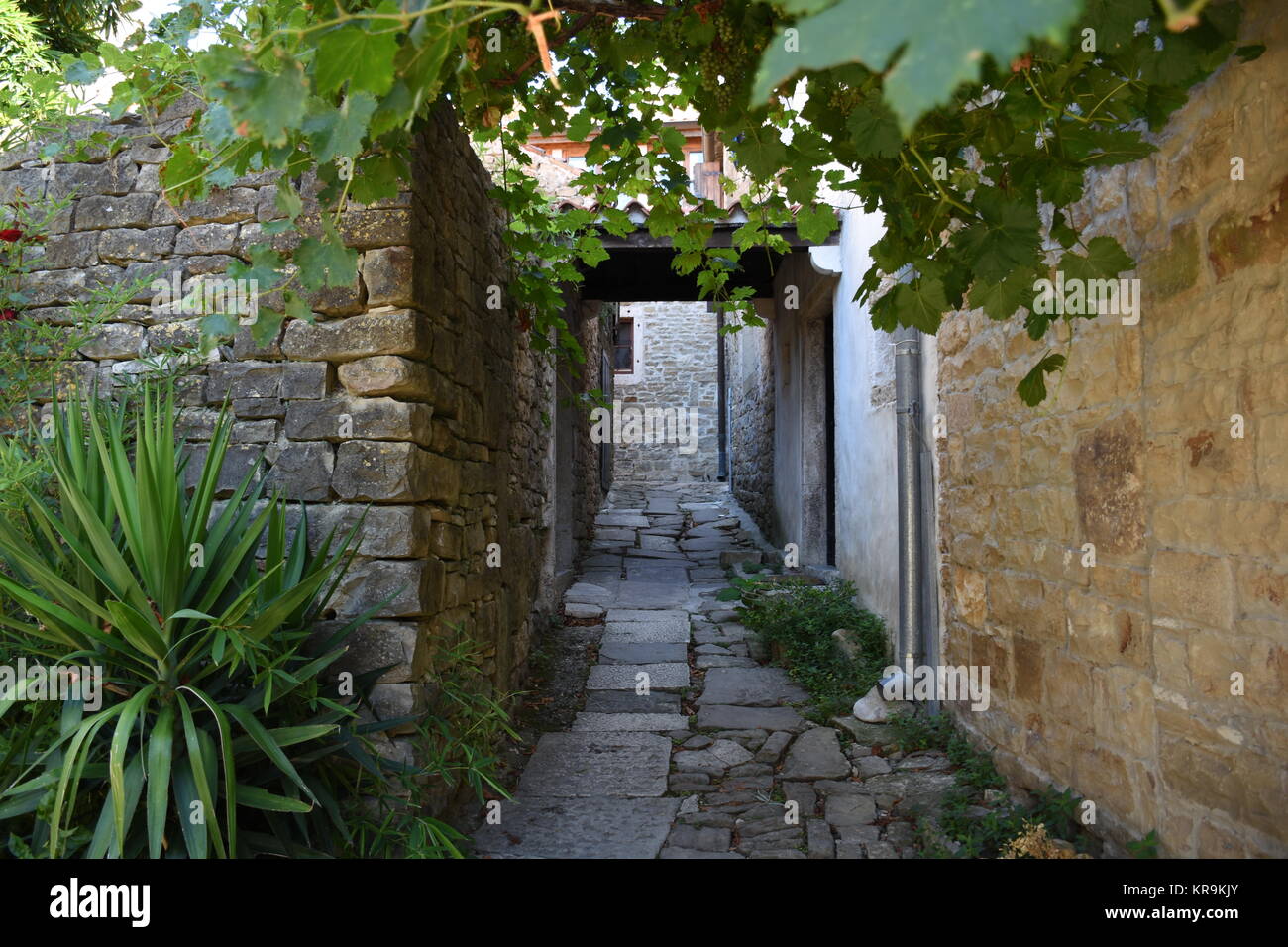 gronzjan,istria,croatia,city,houses,old town,alley,stone house Stock Photo