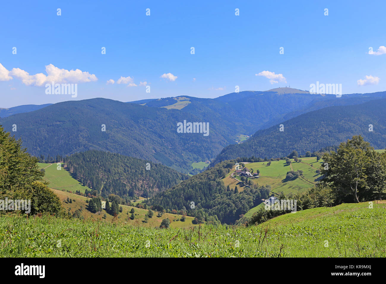 view from the schauinsland in the direction of feldberg Stock Photo