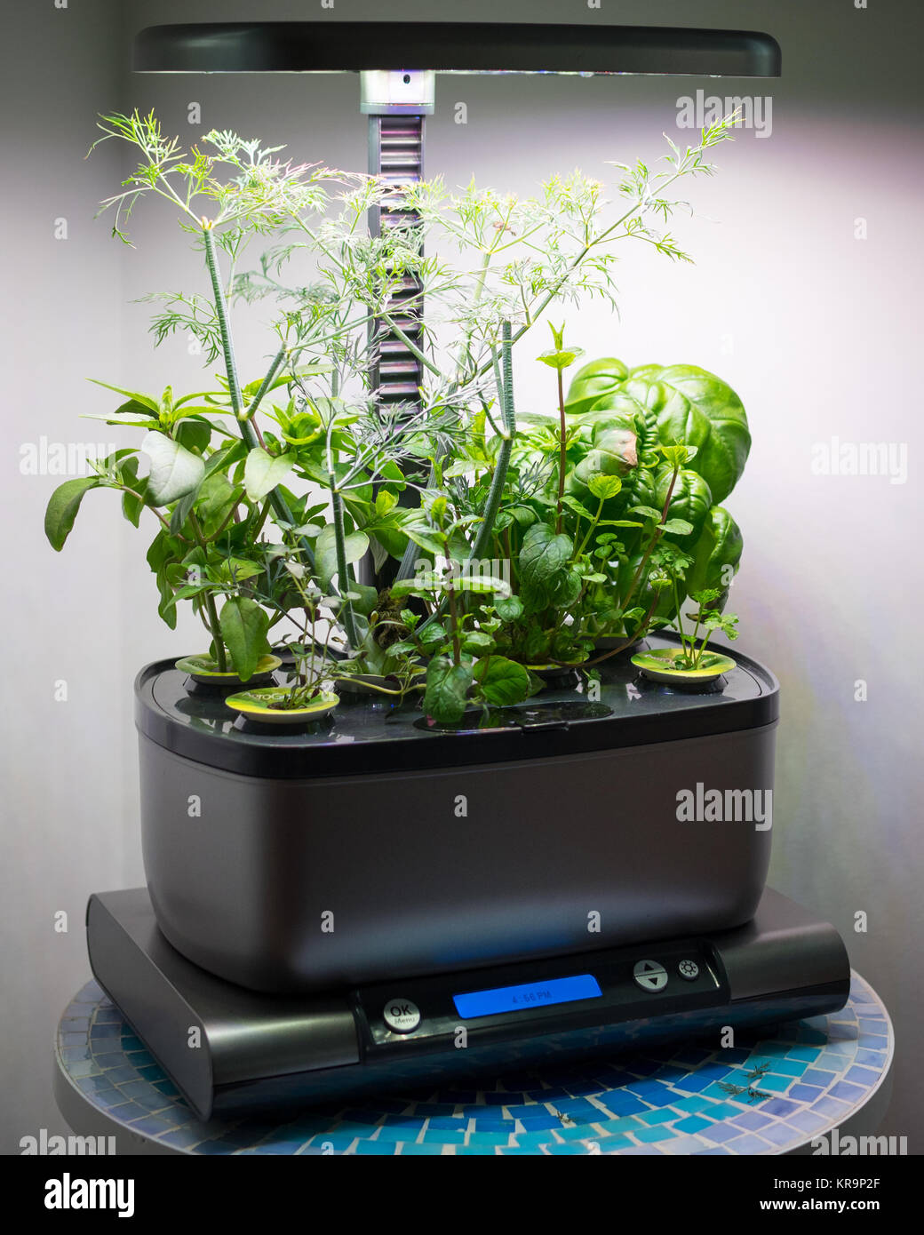 An Miracle-Gro AeroGarden, a popular home indoor garden that uses hydroponics to grow herbs and vegetables. Stock Photo