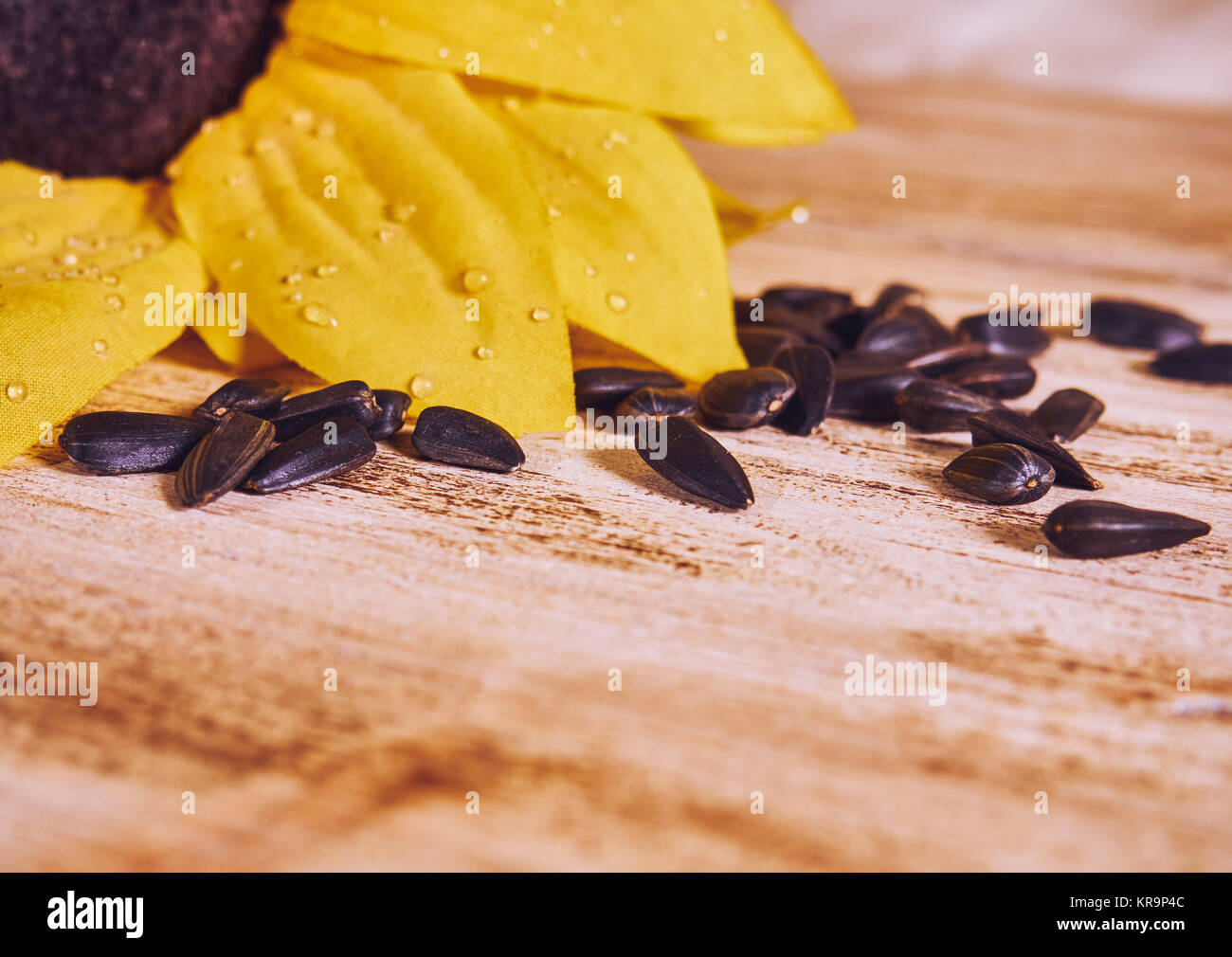 sunflowers and scattered sunflower seeds Stock Photo Alamy