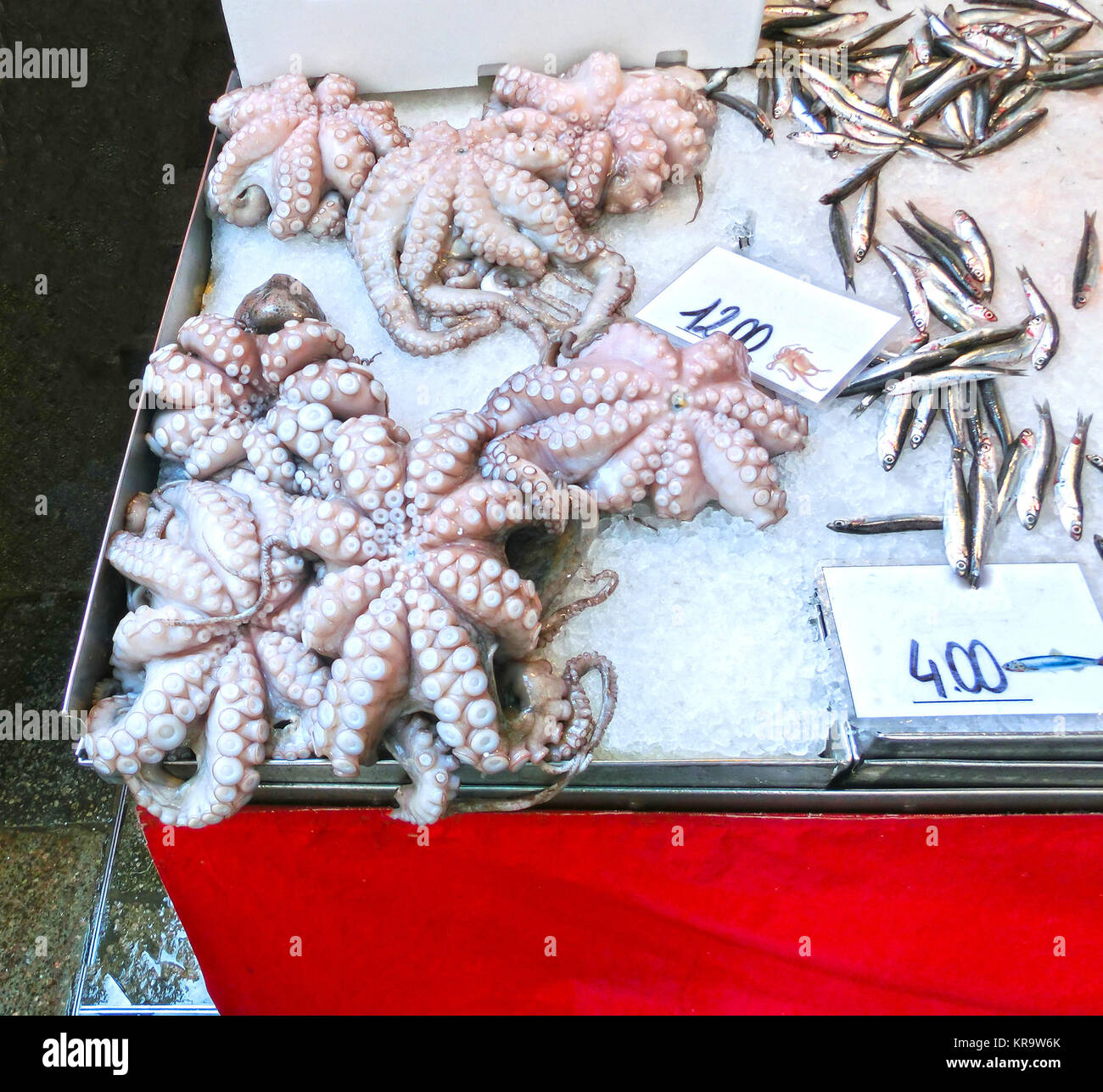 My Image 30