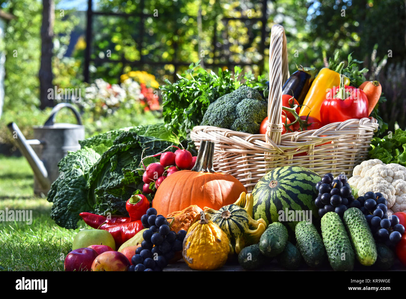 Variety of fresh organic vegetables and fruits in the garden Stock ...
