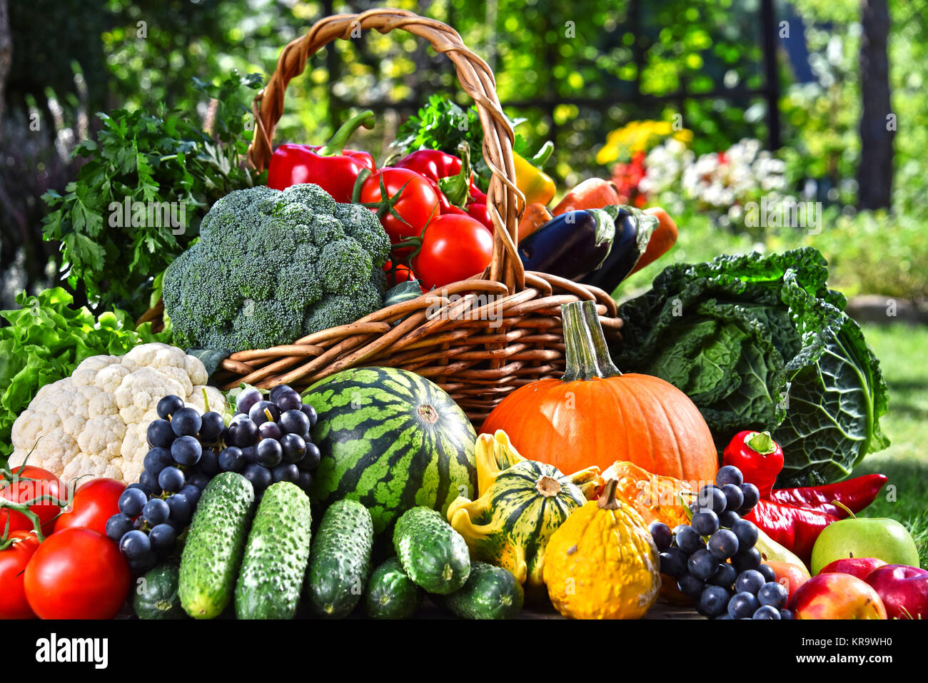 Variety of fresh organic vegetables and fruits in the garden Stock ...