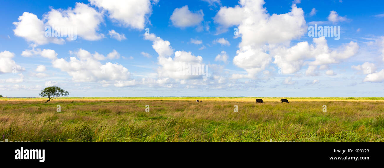 slowinski landscape Stock Photo