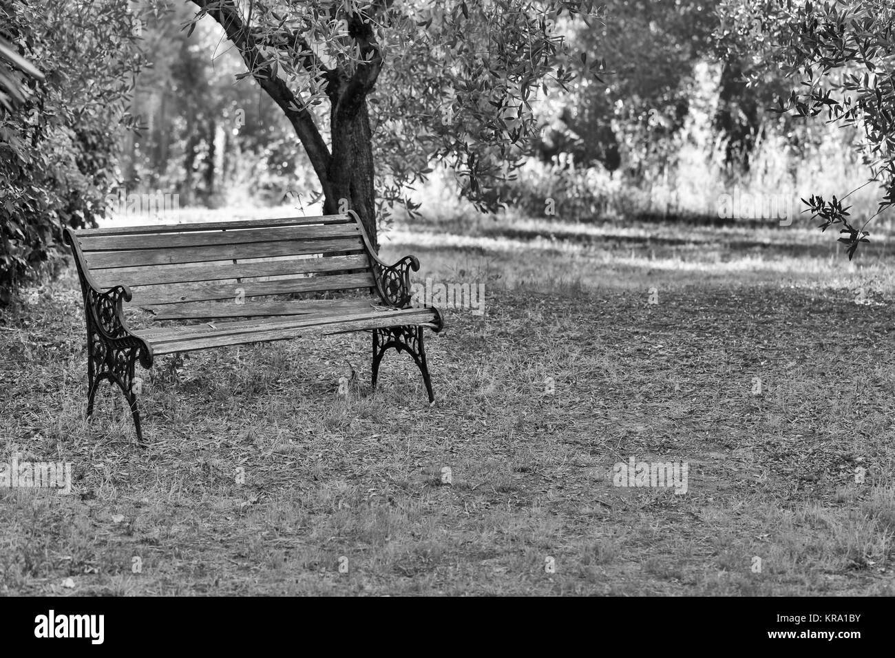 Old garden bench Black and White Stock Photos & Images - Alamy