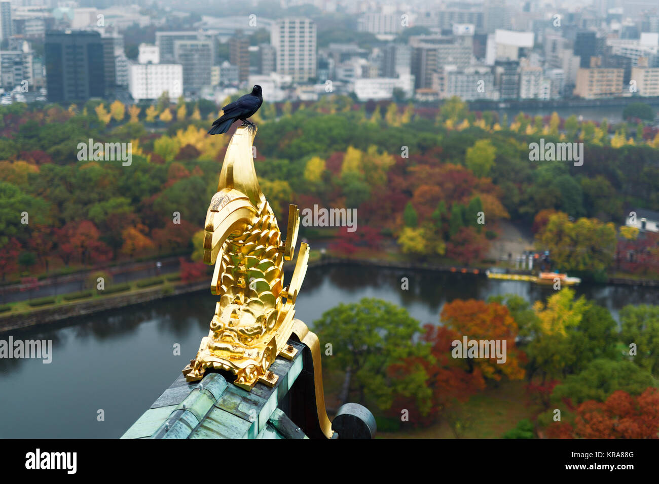Raven Sitting On Roof Top Gold Decor Of Osaka Castle With Aerial Autumn City Scenery Of Osaka And The Castle Park Canal In The Background On A Misty M Stock Photo